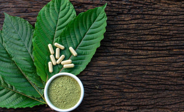 Therapeutic Role of Kratom Not Everyone Know About