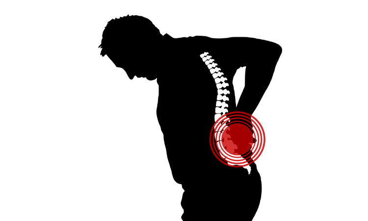 Chiropractic Health: The Natural Path to Pain-Free Living