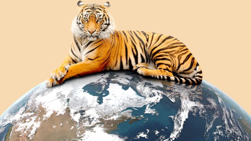 72m Tiger Global 137m Wiggersventurebeat: Isang Powerhouse sa Venture Capital