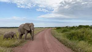 Decoding the Language of Social Media: Unveiling the Meaning Behind “IG” in Chat